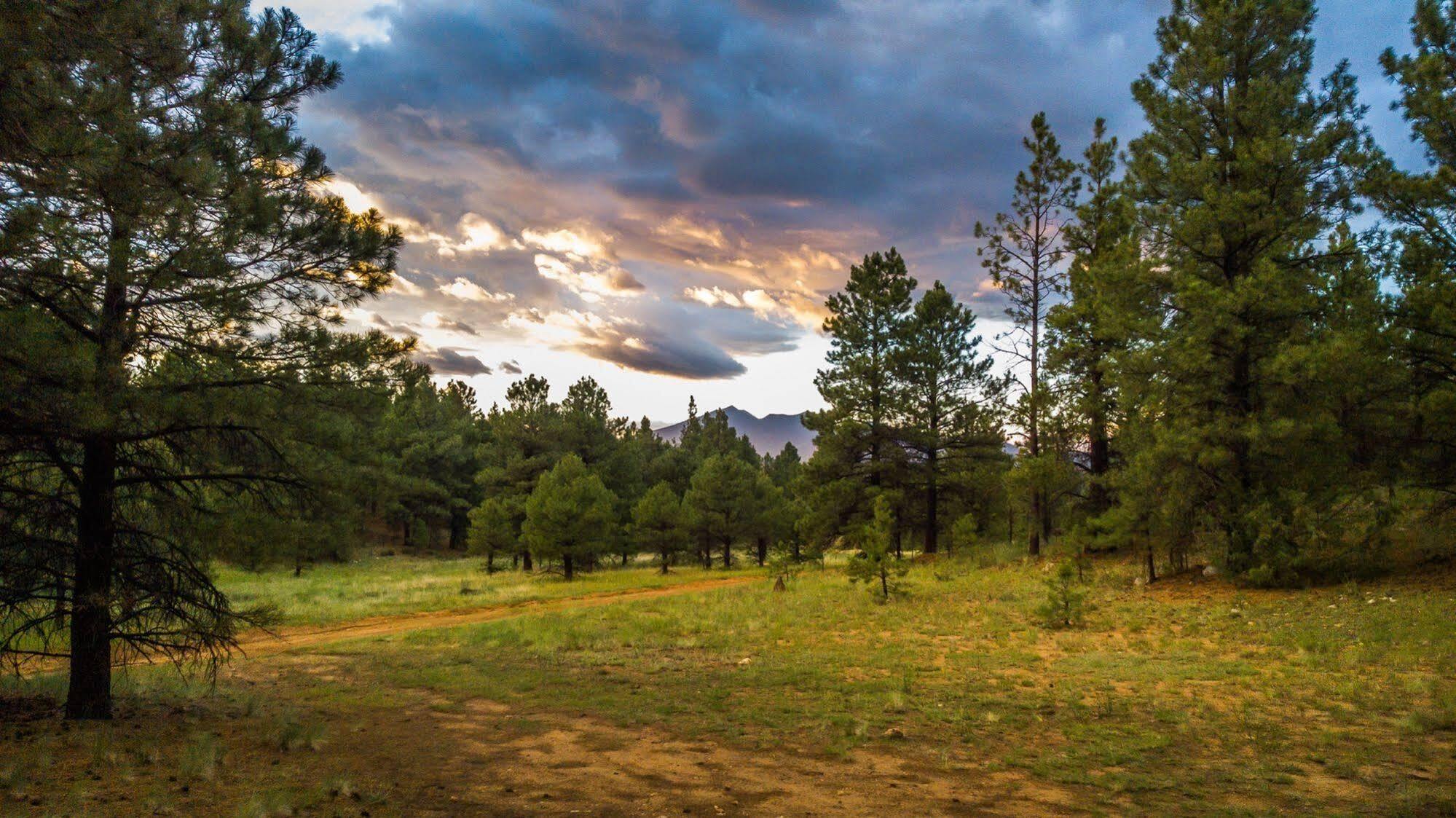 Hampton Inn Suites Flagstaff East Ngoại thất bức ảnh